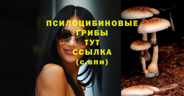 метадон Ельня