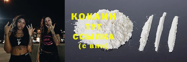 метадон Ельня