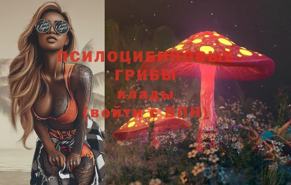 метадон Ельня