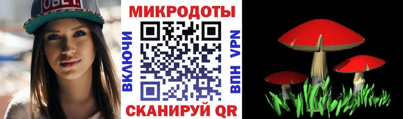 hydra вход  Жуков  Псилоцибиновые грибы мицелий 